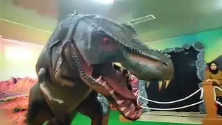 Akhirnya Bersama Oki dan Walikota di  Dinosaurus Land Bambaru Palu Barat 😂😎