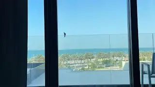 Отель в ОАЭ MOVENPICK RESORT AL MARJAN ISLAND.