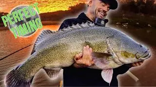 NEW Moon!?! We timed our Murray Cod Copeton trip perfectly!