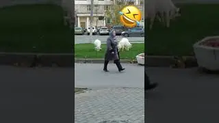 московские козлы / Южное Бутово