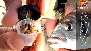 Feeder and maggot: a simple and relaxing fishing!