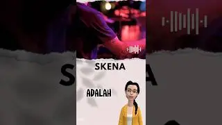 SINGKAT AJA: SKENA ADALAH...