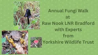 Fungi walk at Raw Nook LNR with Yorkshire Wildlife Trust 2024