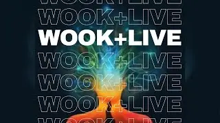 wook+live | Tapers Choice / Neighbor / Mike Gordon / New Orleans Jazz Fest