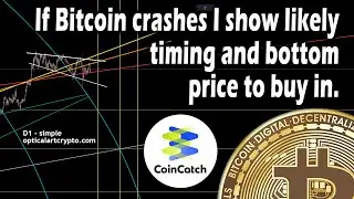 If bitcoin crashes I show likely timing and bottom price to buy in.
