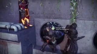 Destiny 2 - го тусовка бичес