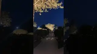 Новая локация в Парке Краснодар (Галицкого),Парк Облаков.#переездвкраснодар #краснодар