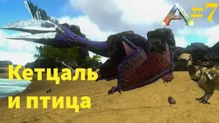 Приручил Кетцаля в Ark mobile!|Modjik