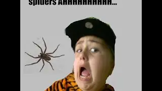 AHHH...SPIDERS - MAMA SPIDER