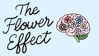 What Flowers Do to Your Brain | The Flower Effect, Backed by Science