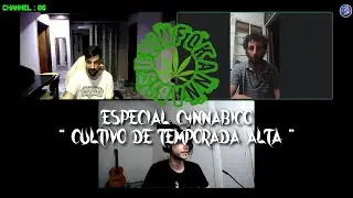 ESPECIAL CAN4BICO | CULTIVO DE TEMPORADA ALTA | Temporada 2024 | Capítulo 8