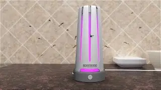 Fly Trap -3D Animation, Product Visualization