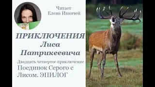 Поединок Серого с Лисом. ЭПИЛОГ #слушатькниги #длядетей