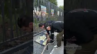 А тем временем у наших звёздочек появилась своя звезда с пожеланием на аллее славы в Омске🥳