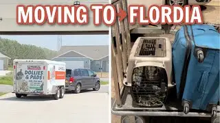Moving to Florida with 4 Pets!
