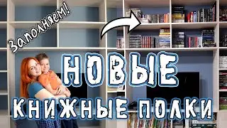 NEW BOOKSHELVES! 😍📚| Filling up the new closet!