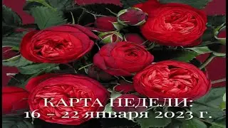 ТАРО ПРОГНОЗ НА НЕДЕЛЮ с 16 - 22.01.2023 г. |  ГОРОСКОП НА НЕДЕЛЮ | ТАРО ПРОГНОЗ