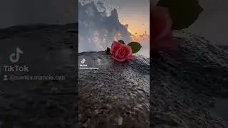 amen .quien ocupa  de nuestro señor Jesucristo 🙏 yo si