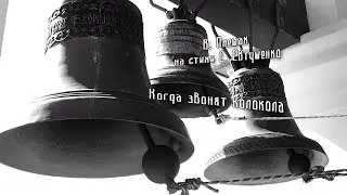 В. Плешак 