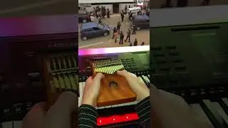 Coffin Dance (kalimba looping cover by VISKO)