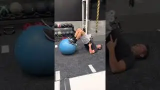Swiss Ball Hamstring Curl (Instructional)