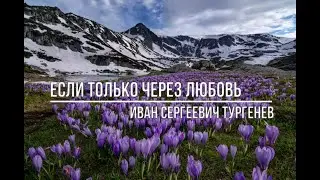 Если только через любовь