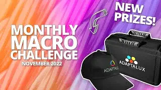 Monthly Macro Challenge [November 2022]