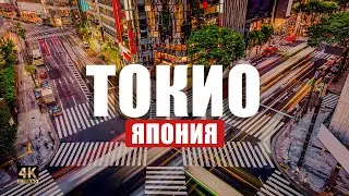 Исследуйте Токио, не выходя из дома.  Прогулка по столице Японии  🇯🇵🍣⛩️