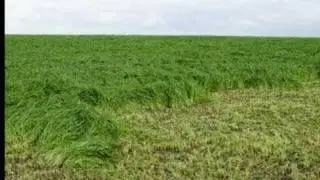 LA COMARCA DE LA SIDRA, PRINCIPADO DE ASTURIAS - ESPAÑA