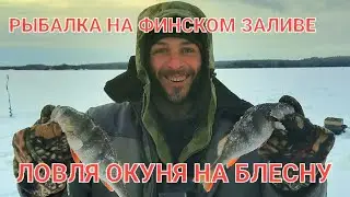 Ловля окуня зимой на блесну!.