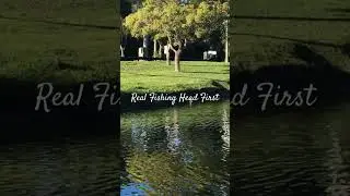 #birds