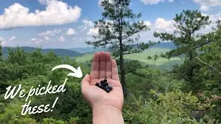 What we love about summer in the mountains | Vlog