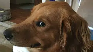 Bombastic side eye - Sound