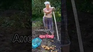 Про Тëщу🤣🤣🤣 #shorts #юмор #анекдотыотбелова #прикол #смех #ржака #анекдот #тренды #топ #рек