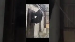 Очень надо! Смешная озвучка