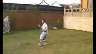 Шаолинь Шэнбяо.flv