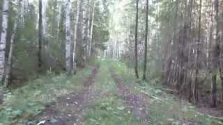УЖД