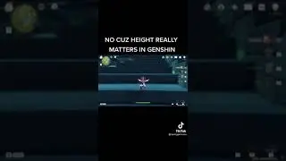 Genshin impact 