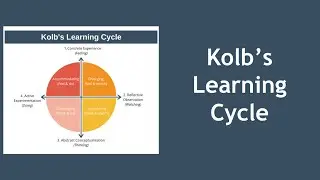 Kolb's Learning Cycle Explained with Example
