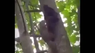😨😨😨😨😨😨😨😨😨😨