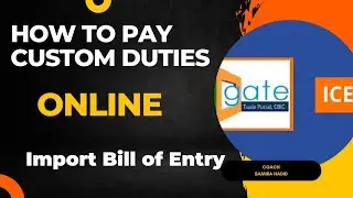 How To Pay Custom Duty using Icegate Online I Import Export Business