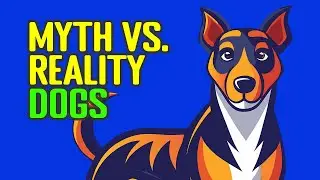 Myth vs. Reality - Dogs