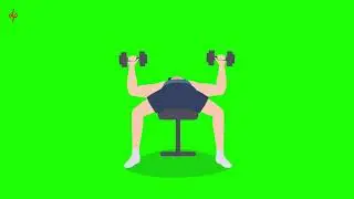 bench press green screen animation gym lovers workout exercise fitness