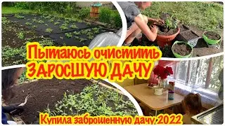 #37 КУПИЛА ЗАБРОШЕННУЮ ДАЧУ/СПАСАЮ СВОЙ ЗАРОСШИЙ ОГОРОД/ВСЕ ЗАРОСЛО СОРНЯКАМИ/ОБНОВИЛИ КУХНЮ НА ДАЧЕ
