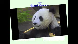 Integrating Information from Multiple Texts | 4th Grade Reading | eSpark Instructional Video