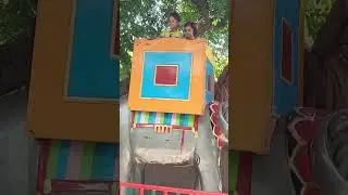 Zainab Zahra Hathi elephant lahore zoo