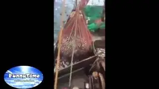 #19 СМЕШНОЕ ВИДЕО 2016 ПОДБОРКА ЛУЧШЕЕ В 720 и 1080