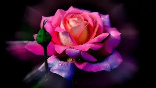 Beauty of nature, music of soul and heart ... Sergey Grischuk