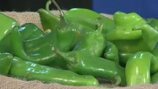 Enter Food City's Hatch Chile contest for a chance to win $500 gift card