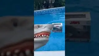 Shark puppet saves a shark!!